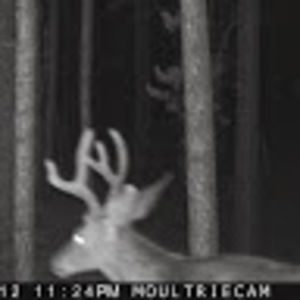 Meet your Posher, Renee